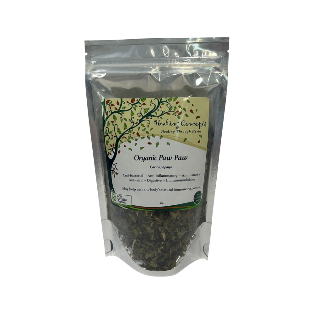 Healing Concepts Organic Paw Paw 40g