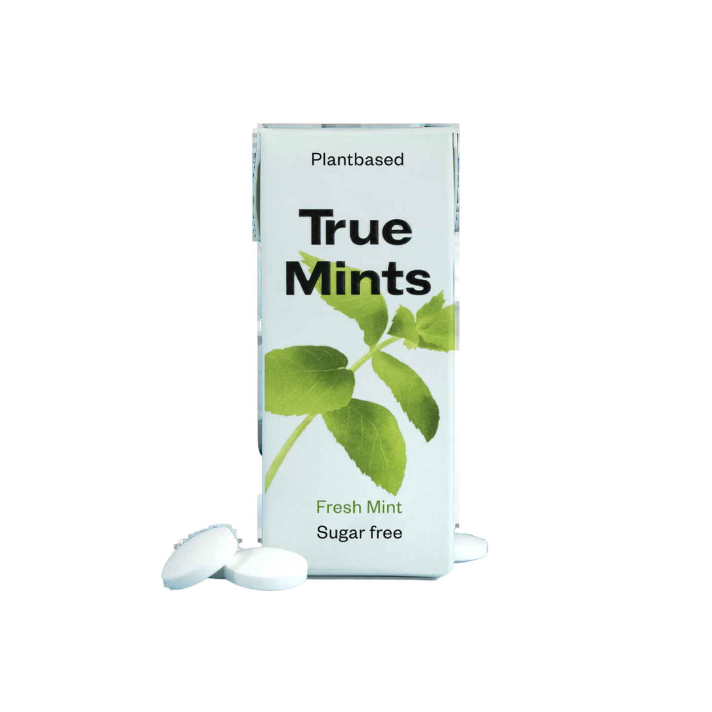 Mints Fresh Mint 13g