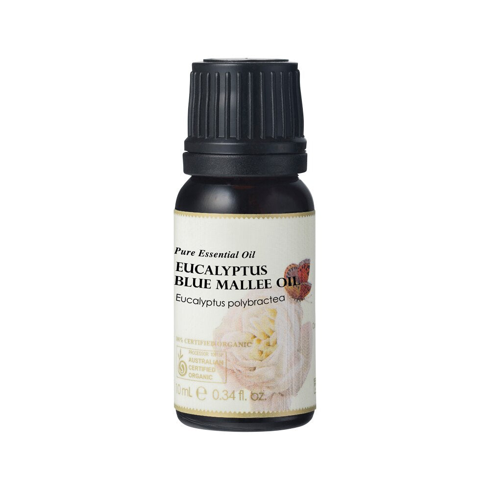Ausganica Organic Essential Oil Eucalyptus Blue Mallee 10ml