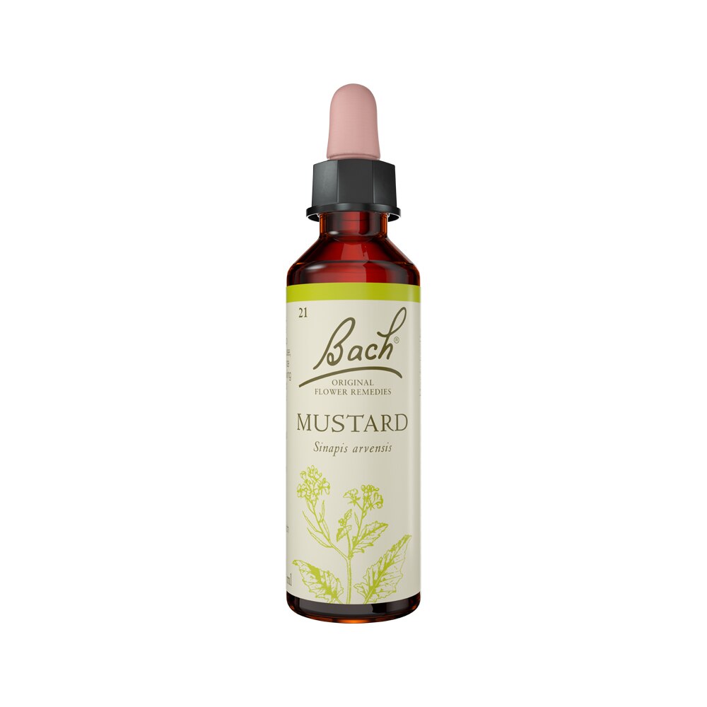 Bach Flower Remedies Mustard 20ml