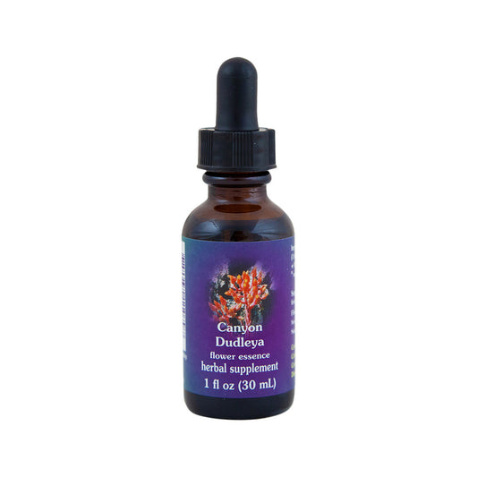 FES Organic Quintessentials Flower Essence Canyon Dudleya 30ml