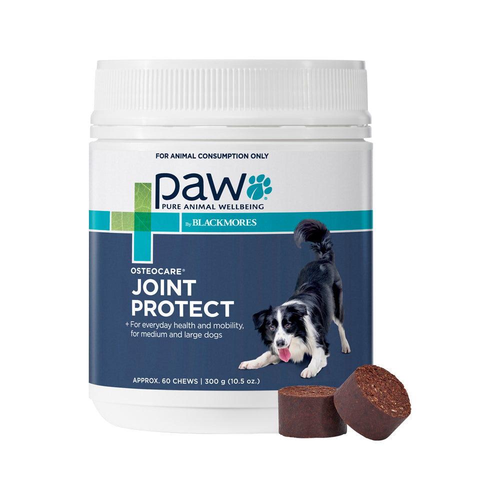 PAW By Blackmores OsteoCare Joint Protect (For Dogs approx 60 Chews) 300g