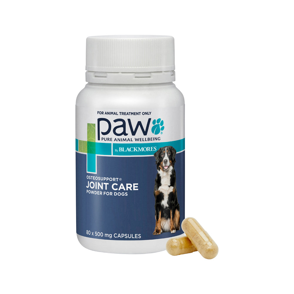 PAW By Blackmores OsteoSupport Joint Care (Powder For Dogs) 80c