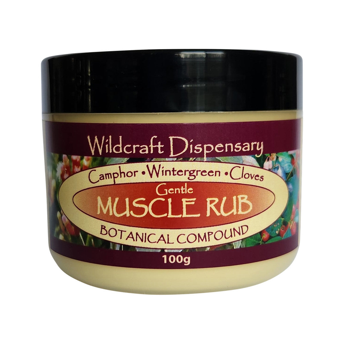 WILDCRAFT DISPENSARY Gentle Muscle Rub Herbal Ointment 100g