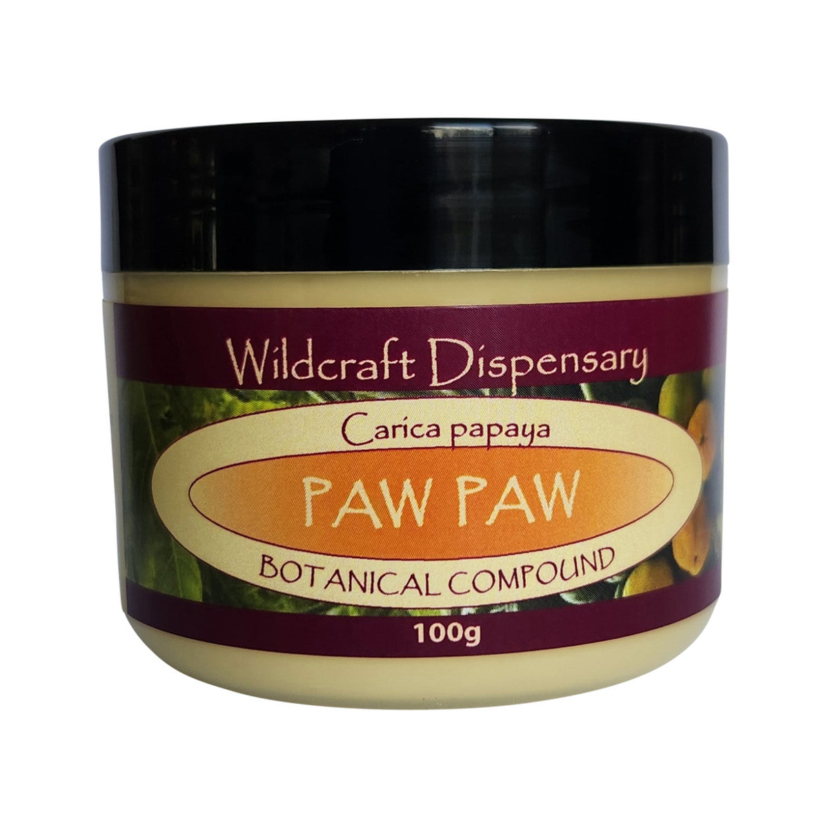 WILDCRAFT DISPENSARY Paw Paw Herbal Ointment 100g