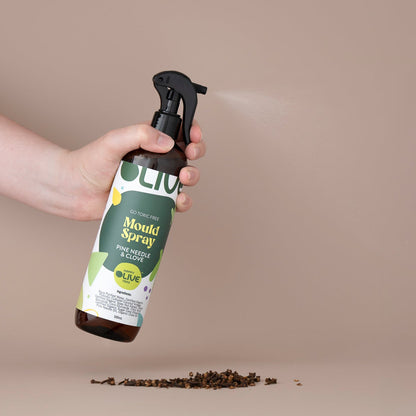 Mould Spray Pine Needle and Clove 500ml Non-Toxic, Bleach-Free, Probiotic Vinegar + High-Concentration Clove Oil
