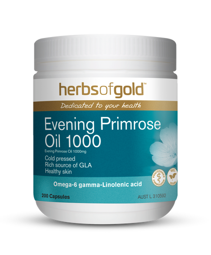 Herbs Of Gold Evening Primrose